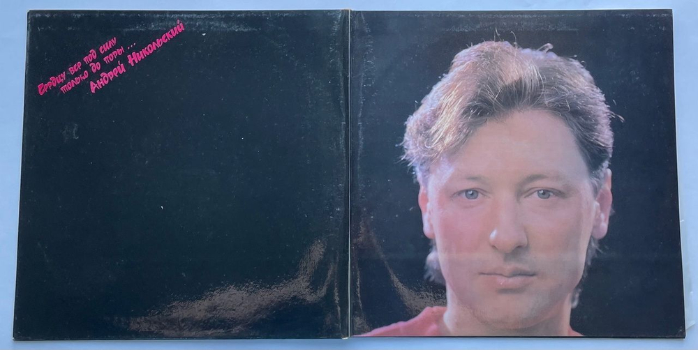 Винтажная виниловая пластинка LP Андрей Никольский Хулиган С Покровки (Россия 1993)