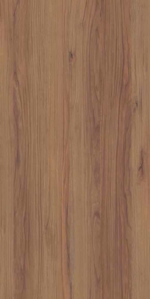 Яблоня Каника