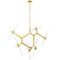 Подвесная люстра Lightstar Struttura 742143