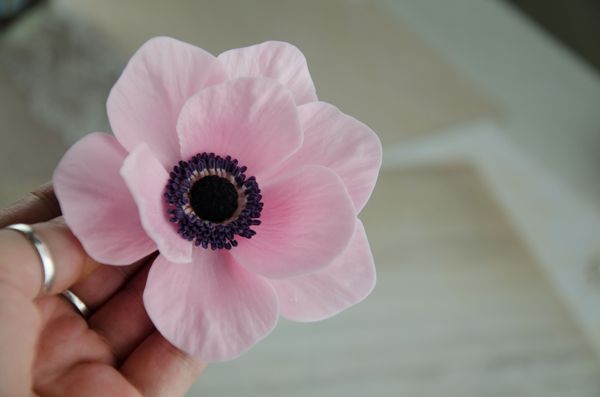 Анемон из холодного фарфора. МК Анны Крахиной.