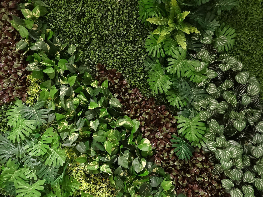 Коллекция GREENDAY