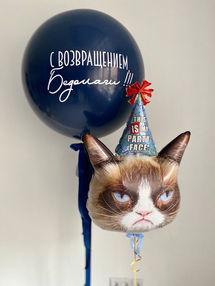 Воздушные шары Недовольный кот №3188