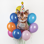 Шар фигура Кошка в колпаке