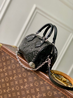 Louis Vuitton Speedy Trunk 20