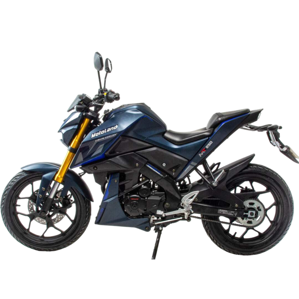 Мотоцикл MotoLand MT 250