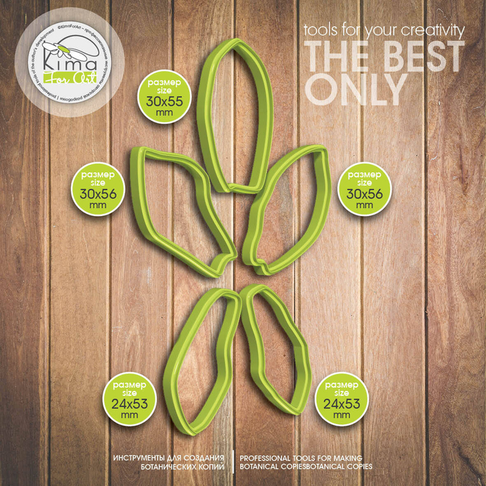 Цимбидиум лепестки и губа орхидея