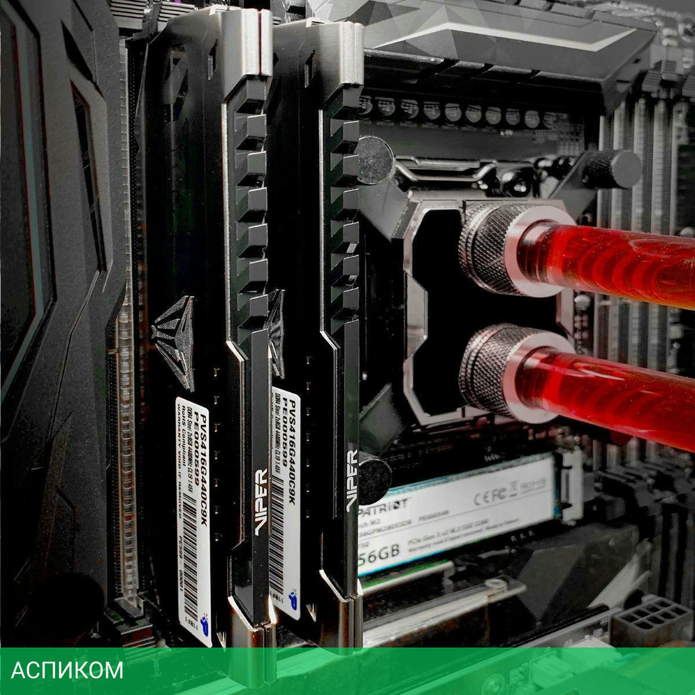Оперативная память Patriot DDR 4 DIMM 8Gb PC25600 3200Mhz (PVS48G320C6K)