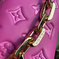 Louis Vuitton Beltbag Coussin