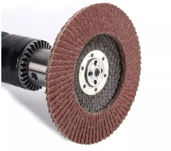 Razaian strong tools Круг лепестковый торцевой 125 x 22; P40