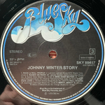 Johnny Winter ‎– Johnny Winter Story 2LP (Голландия 1980г.)