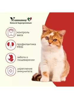Влажный корм для стерилизованных кошек, говядина 12х100гр