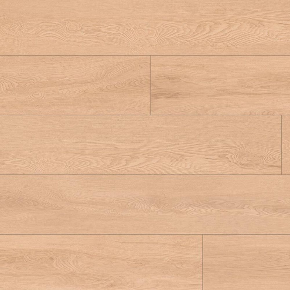 Grande XXL Schonbrunn, 3,019 м²