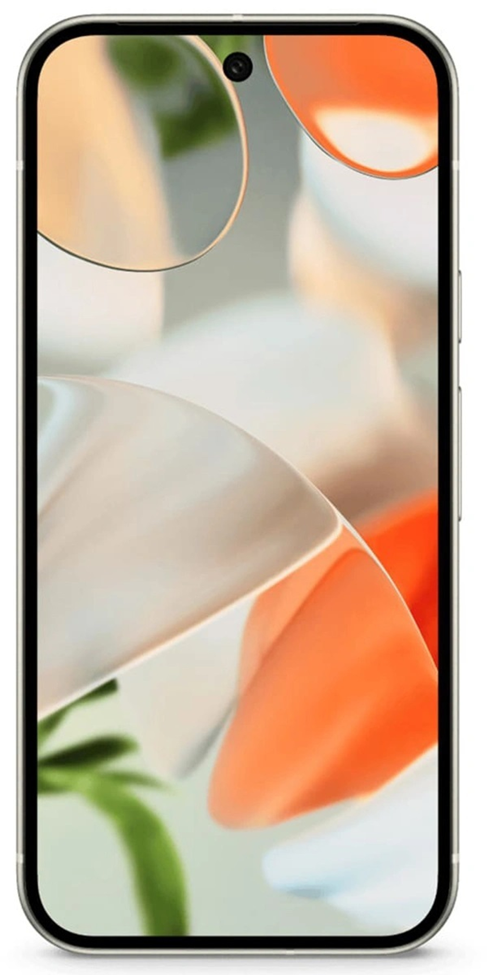 Смартфон Google Pixel 9 12/256GB, Porcelain