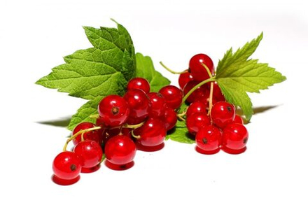 Смородина красная 1 кг