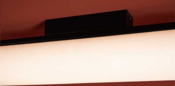 Потолочный светильник Freya Modern Even FR5625CL-L20B