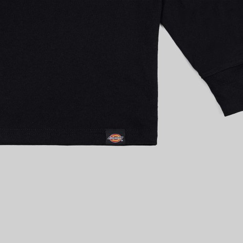 Лонгслив мужской Dickies Kenbridge Tee артикул:DK0A4YVRBLK1 - купить в магазине Дайс