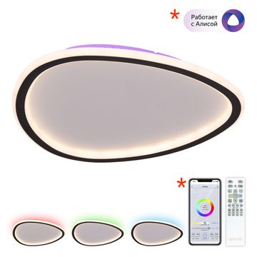 Светодиодная потолочная люстра c пультом ДУ 55W 3000-5500K CL215B241E черный ТRIO Citilux