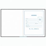 Дневник 1-4 класс 48 л., твердый, ЮНЛАНДИЯ, глянцевая ламинация, с подсказом, "К звездам", 106016