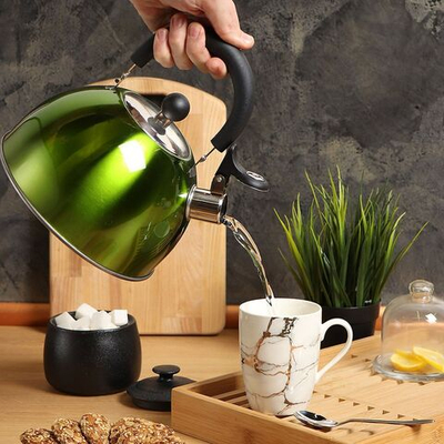 Чайник нерж, 3 л, свист, зеркал, ручк пластик, Daniks, индукц, зел, MSY-021G