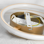 Потолочная светодиодная люстра Lussole Loft Ingersoll LSP-8346