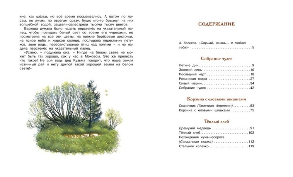 Корзина с еловыми шишками. Классная классика