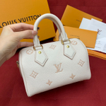 Louis Vuitton Speedy 20