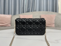 Christian Dior Bag 18 cm