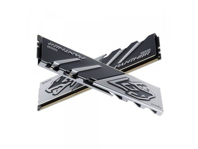 Оперативная память Apacer Panther AH5U32G52C5227BAA-2, DDR5 2х 32ГБ 5200 МГц, DIMM, RTL