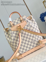 Louis Vuitton Montsouris Backpack PM