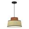 Подвесной светильник ST Luce Jackie SL1354.423.01