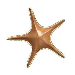 Блюдо для подачи 28*28 см h6 см 100 мл Звезда Pearl Starfish Frutti di Mare P.L. [1]