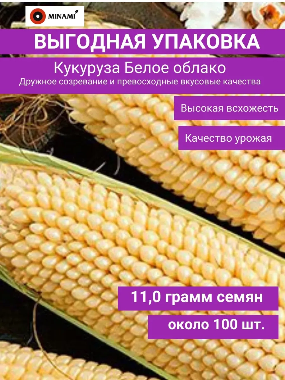 Кукуруза сахарная попкорн Белое Облако