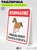 Табличка "Лошадь может укусить и лягнуть" на дверь и забор, для конюшни, фермы, деревни, 40х30 см, Silver Plane x Айдентика Технолоджи