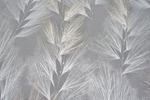 Ateliero Miracle 88195-15