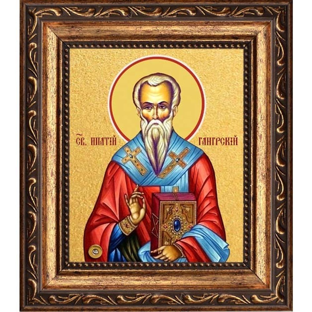 Ипатий епископ Гангрский чудотворец. Икона на холсте.