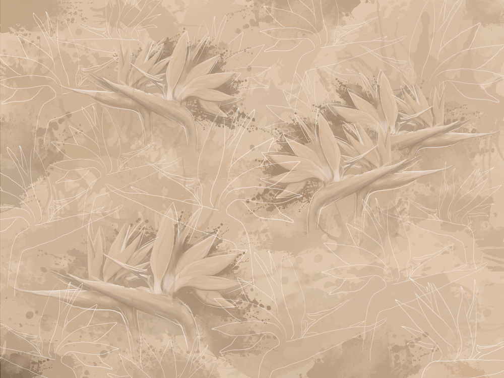 Коллекция BIRDLY