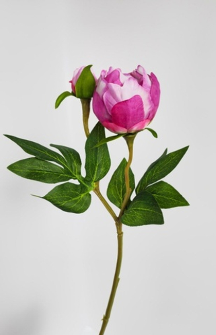 Бутон пиона / Арт 2217