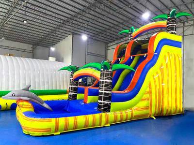 Водная горка «Волна дельфина» с бассейном, 8×3,3×5,4 м