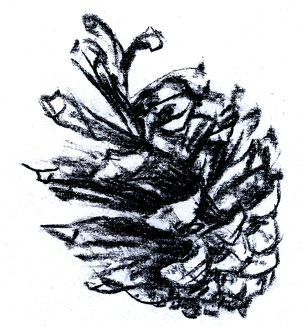 Стикер "Шишка-1"