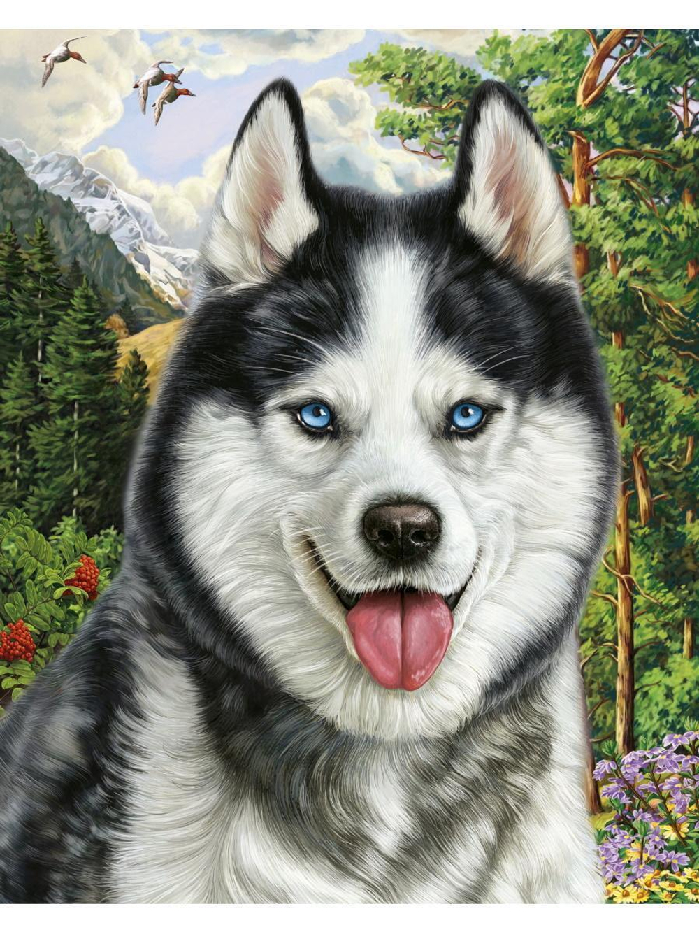 Картина по номерам 40х50см "Хаски в горах" (Арт. ХК-6875)
