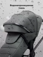 Коляска 2 в 1 Rant Falcon Therm