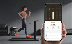 KingSmith WalkingPad X21