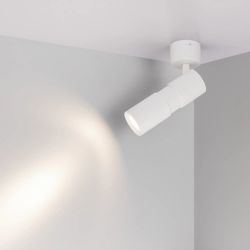 Светильник SP-ARTEMIS-SURFACE-FLAP-R55-12W Day4000 (WH, 8-80 deg, 230V) (Arlight, IP20 Металл, 5 лет) 051787