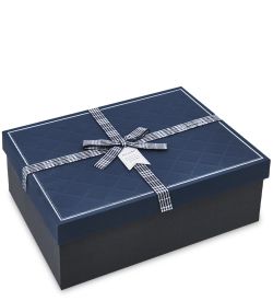 WF-171/3-A Коробка бол., синий/черный