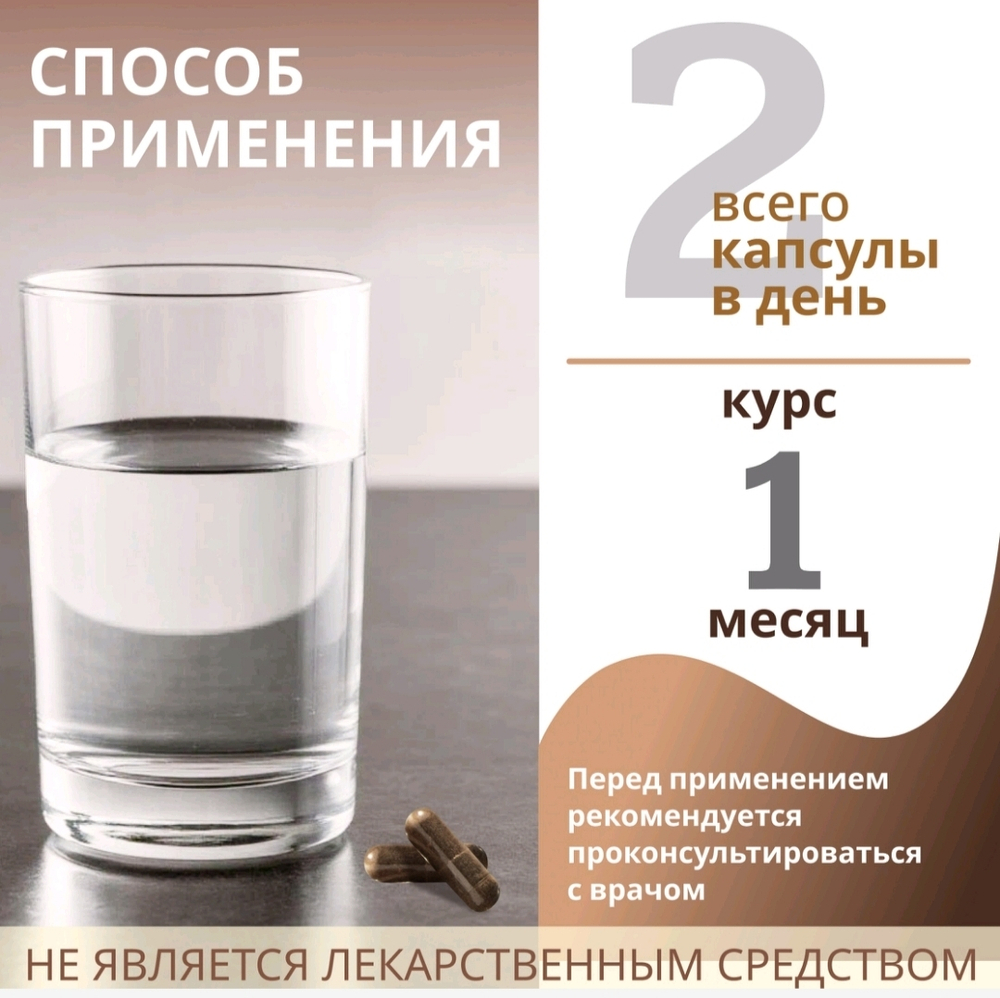 Концентрат Чага