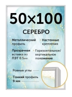 Металлическая рамка 50х100 см