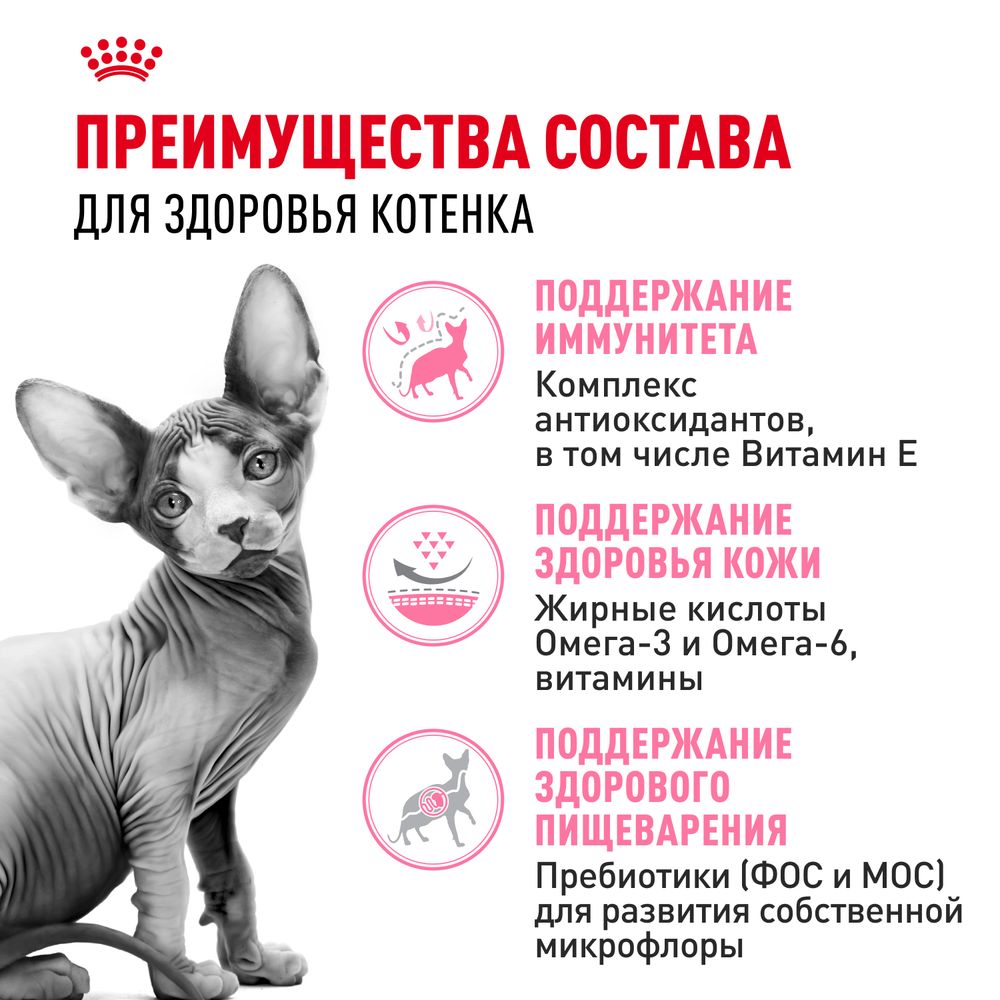 Сухой корм Royal Canin Kitten Sphynx для котят породы Сфинкс до 12 месяцев Сухой корм Royal Canin Kitten Sphynx для котят породы Сфинкс до 12 месяцев