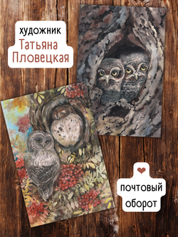 Совушки Татьяны Пловецкой. 10 открыток