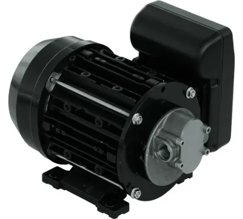 Garda 5 230V - Электрический шестеренчатый насос для масла и ДТ, 10 л/мин