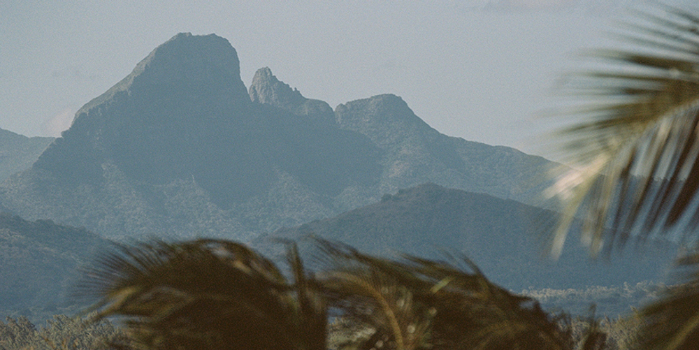 ЭКОЛОГИЧНЫЙ БРЕНД